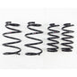 RS-R 09+ Lexus HS250h Down Sus Springs
