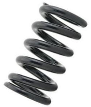 Load image into Gallery viewer, Tein Coilover Spring (Two Springs)