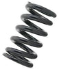 Tein Coilover Spring (Two Springs)