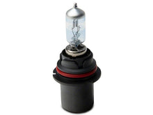 Load image into Gallery viewer, Photo - Close Up