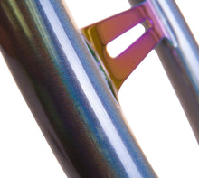 Load image into Gallery viewer, Photo - Primary