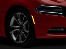 Load image into Gallery viewer, Photo - Primary