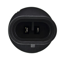 Load image into Gallery viewer, Photo - Close Up