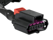 Load image into Gallery viewer, Photo - Unmounted