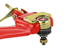 Load image into Gallery viewer, Photo - Unmounted