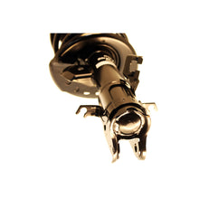 Load image into Gallery viewer, Photo - out of package