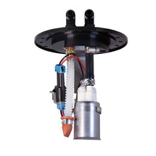 Load image into Gallery viewer, Photo - Close Up