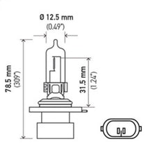Load image into Gallery viewer, Technical Drawing