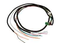 Load image into Gallery viewer, Fast E7 Standard Pigtail Harness