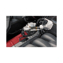 Load image into Gallery viewer, MS100073_004.jpg