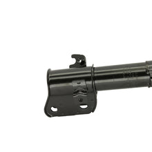 Load image into Gallery viewer, Photo - out of package