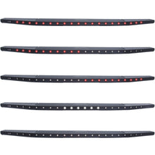 Load image into Gallery viewer, Photo - Unmounted