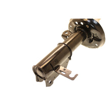 Load image into Gallery viewer, Photo - out of package