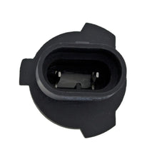 Load image into Gallery viewer, Photo - Unmounted