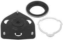 Load image into Gallery viewer, Photo - Primary