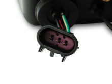 Load image into Gallery viewer, Photo - Close Up