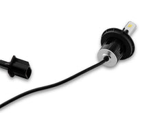 Load image into Gallery viewer, Photo - Close Up