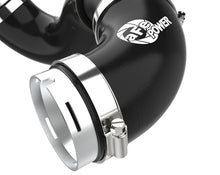 Load image into Gallery viewer, Photo - Close Up