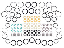 Load image into Gallery viewer, Photo - Primary