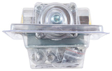 Load image into Gallery viewer, Photo - in package