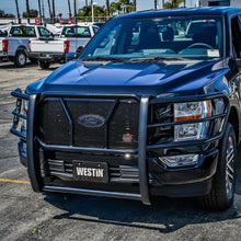 Load image into Gallery viewer, Photo - Mounted