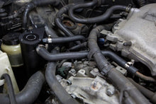 Load image into Gallery viewer, Photo - Primary