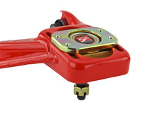 Load image into Gallery viewer, Photo - Unmounted