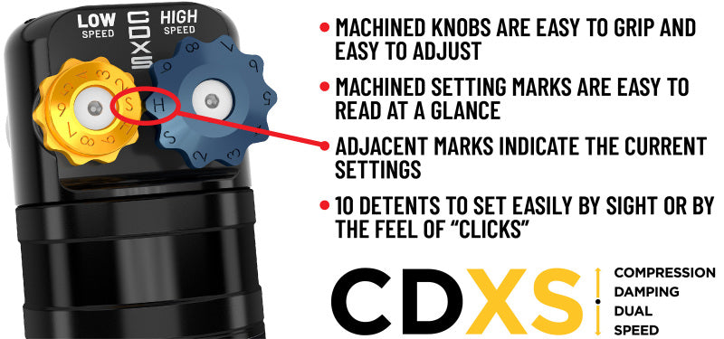 ICON 09-24 Ford F-150 2/4WD 2.5 Series VS PB CDXS Rear Shocks - Pair