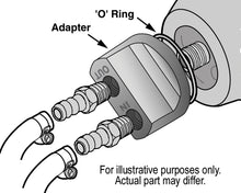Load image into Gallery viewer, 15704-Illustration.jpg