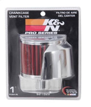 Load image into Gallery viewer, Photo - in package