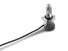 Load image into Gallery viewer, Photo - Close Up