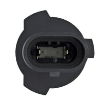 Load image into Gallery viewer, Photo - Close Up