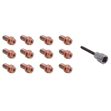 Load image into Gallery viewer, Photo - Primary