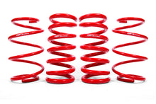 Load image into Gallery viewer, Photo - Primary