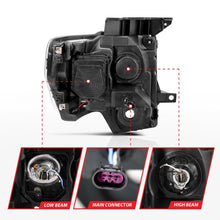 Load image into Gallery viewer, Photo - Unmounted