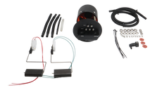 Load image into Gallery viewer, Photo - Primary