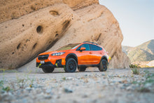 Load image into Gallery viewer, Photo - lifestyle view