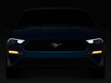 Load image into Gallery viewer, Photo - Close Up