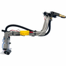 Load image into Gallery viewer, Photo - Close Up