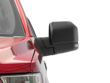 Load image into Gallery viewer, Photo - Close Up