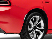 Load image into Gallery viewer, Photo - Close Up