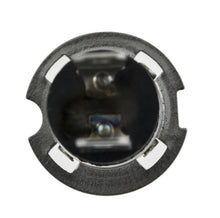 Load image into Gallery viewer, Photo - Unmounted