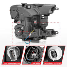 Load image into Gallery viewer, Photo - Unmounted