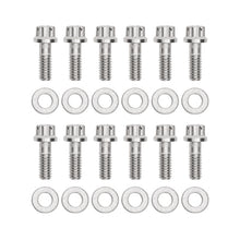 Load image into Gallery viewer, User 1