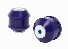 Load image into Gallery viewer, Photo - Primary