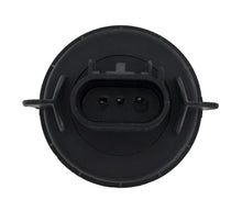 Load image into Gallery viewer, Photo - Unmounted