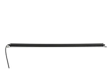 Load image into Gallery viewer, Photo - Close Up