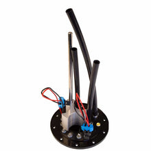 Load image into Gallery viewer, Photo - Close Up