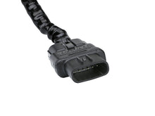 Load image into Gallery viewer, Photo - Close Up