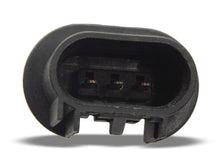 Load image into Gallery viewer, Photo - Close Up